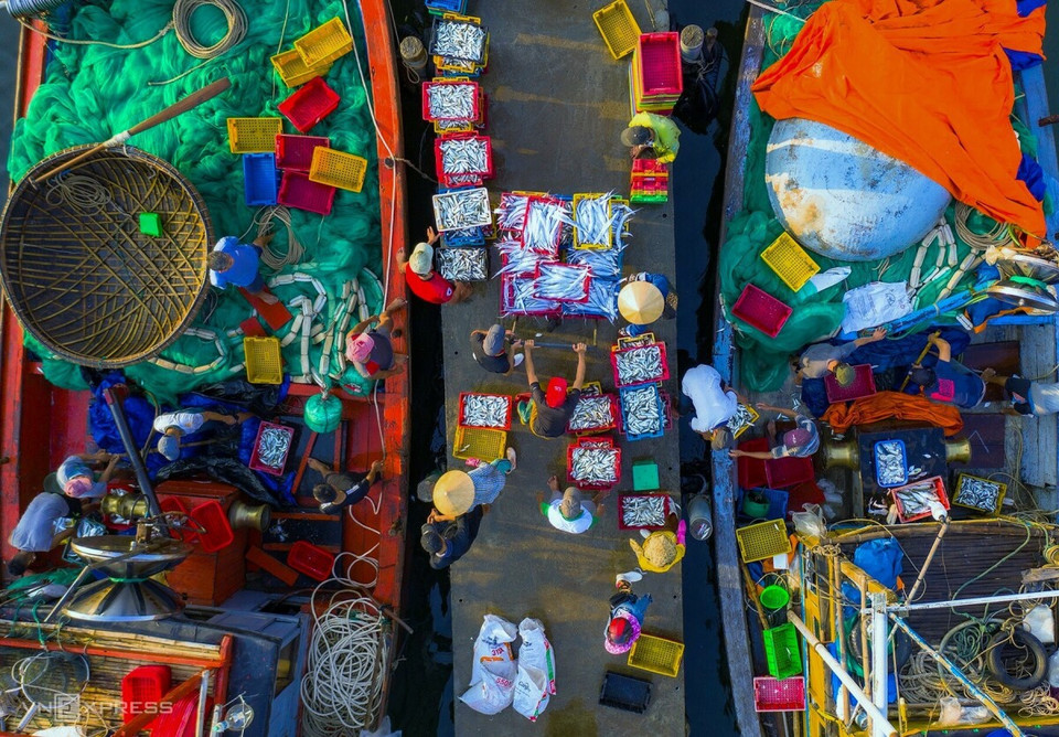 上午6点，大量水产品集中在广南省维海鱼市。