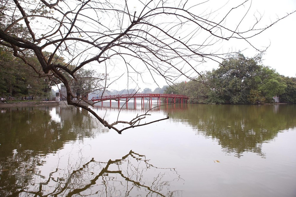 倒映在水中的树木，构成一幅美丽的风景画。越通社记者 英俊 摄