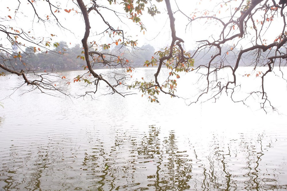 湖边树木弯着腰倒映在水中。越通社记者 英俊 摄