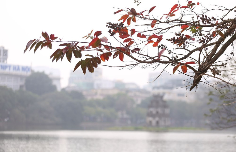 树叶泛黄泛红，被岁月浸染得一片辉煌，沿湖赫色一片。越通社记者 英俊 摄