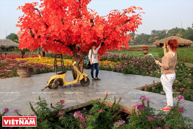 ​西湖花谷还设置众多拍摄场地（图片来源：越通社）