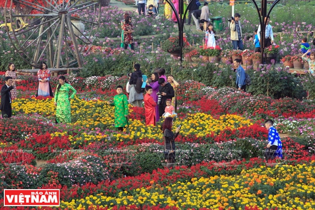 ​身穿传统衣服在花谷拍照的游客（图片来源：越通社）