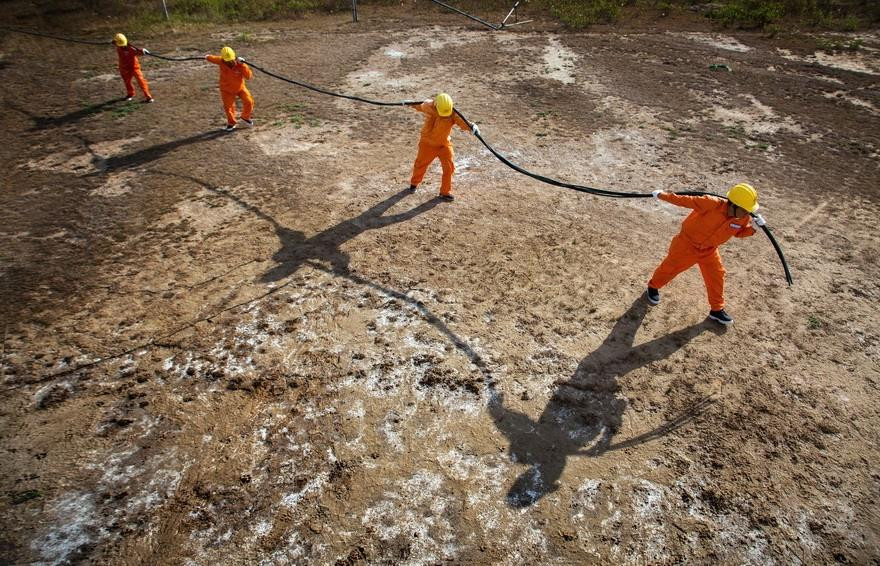 在盐碱地输电线 。越南画报记者 陈庆兴 摄