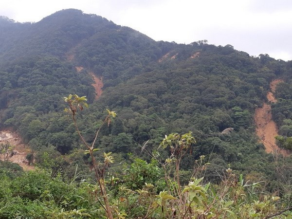 向越乡是遭受洪水灾害最为严重的地方之一，目前由于通往该乡的道路仍被阻断，因此这里的灾后后果客服工作遇到很多困难。图自Vietnam+