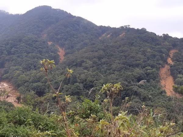 向越乡是遭受洪水灾害最为严重的地方之一，目前由于通往该乡的道路仍被阻断，因此这里的灾后后果客服工作遇到很多困难。图自Vietnam+