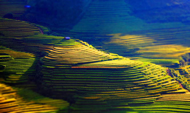 一座“艺术工程”。