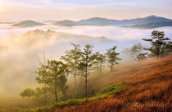 大叻的黄金盆地。（图片来源：越南快讯网）
