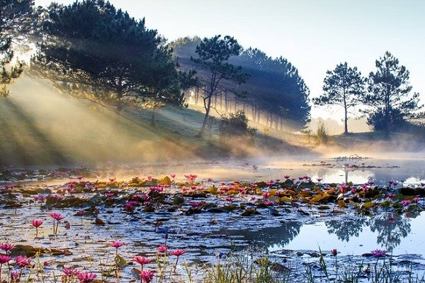 劬冈湖泊上的春色。（图片来源：越南快讯网）