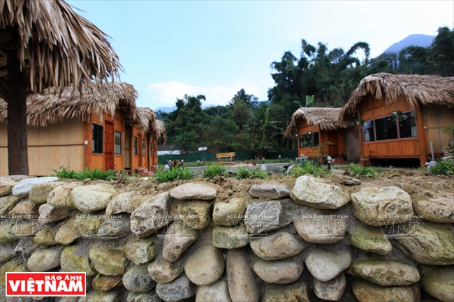 左文村。图自《越南画报》