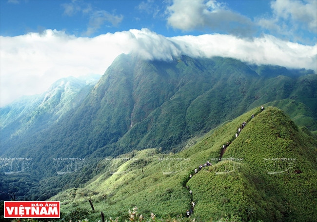 爬上番西邦峰之路。图自《越南画报》