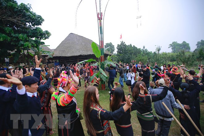 2019己亥年“越南各地春色”活动吸引许多人参加。图自越通社