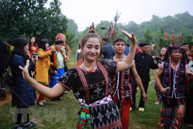 2019己亥年“越南各地春色”活动。图自越通社