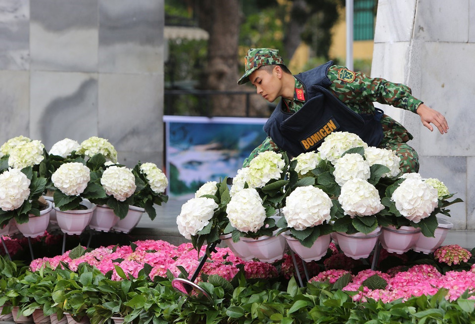 工兵兵种司令部扫雷部队对会议和相关活动举行地点进行检查。图自越通社