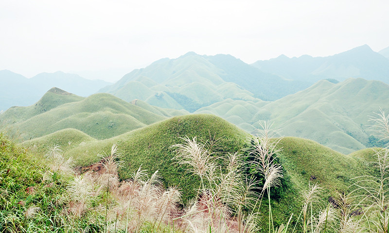 雄伟绿色山丘。