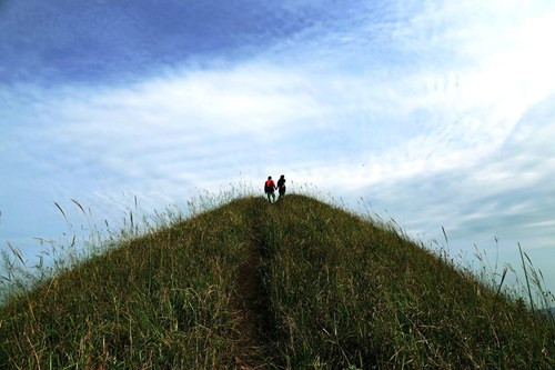 吸引许多喜欢自由旅游的年轻人前来参观。