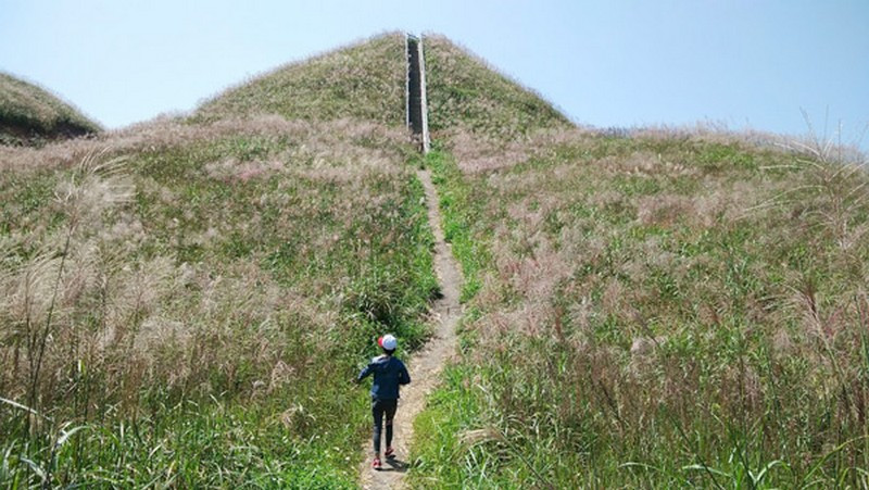 吸引许多喜欢自由旅游的年轻人前来参观。