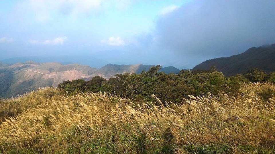 吸引许多喜欢自由旅游的年轻人前来参观。