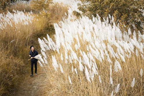 风景皆如诗画。