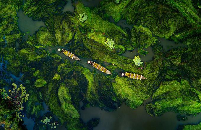 广南省梅成章拍摄的反映西部涨水季节的作品荣获鼓励奖。