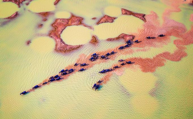 除了一等奖，阮晋俊的另一幅作品也荣获了鼓励奖。