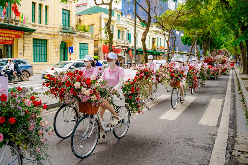 使用99999朵玫瑰装置的自行车、古汽车和双层巴士从Ecopark小区驶入河内市区，并在河内市各主要街道上游行，这个场面让河内市民无法移开其的视线。这是他们从来未曾见过的一花车团。这一花车团路过主要街道并在路上许多地方停下来向居民送花。图为：装满鲜花并在各条街道上游行的自行车。图：Vietnam+