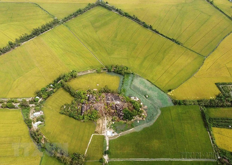 凭借高质量水稻生产区以及世界上可持续水稻平台(SRP)达到满分100分100分的第一家公司的优势，天禄集团对欧盟及许多其他市场的大米出口量逐年递增。图自越通社
