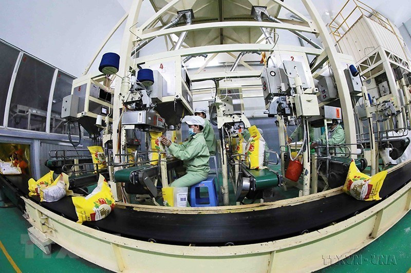 树立越南水稻价值链先锋企业——天禄集团共有5家粮食加工厂，年产量为20万吨。图自越通社