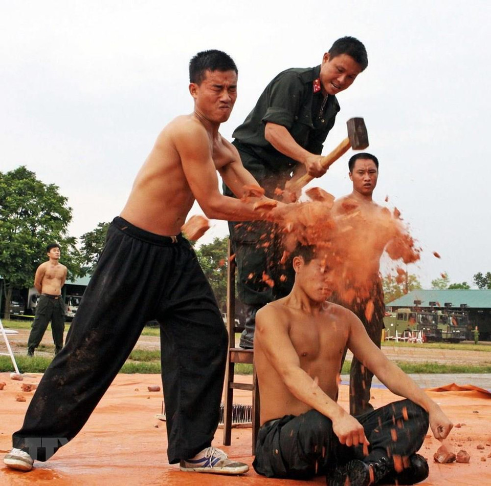 东北部机动警察力量练气功表演节目。越通社记者 尹晋 摄