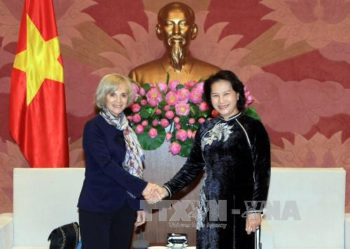 越南国会副主席阮氏金银12月16日下午在国会大夏会见了正在对越南进行工作访问的法国国民议会外交委员会主席伊丽莎白·吉古。（图片来源：越通社）