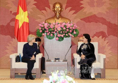 会见时，阮氏金银副主席建议，法方支持早日正式签署越南——欧盟自由贸易协定，其将有助于促进越法贸易、投资关系。（图片来源：越通社）