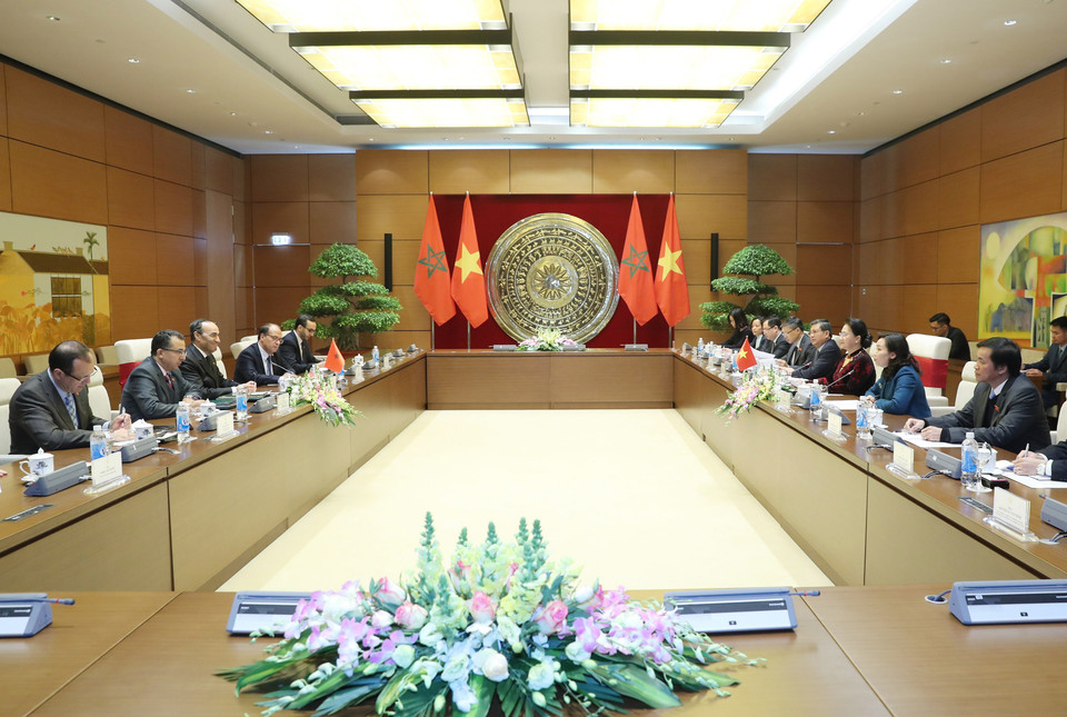 欢迎仪式结束后，阮氏金银与哈比博·马勒克举行会谈。越通社记者 仲得 摄
