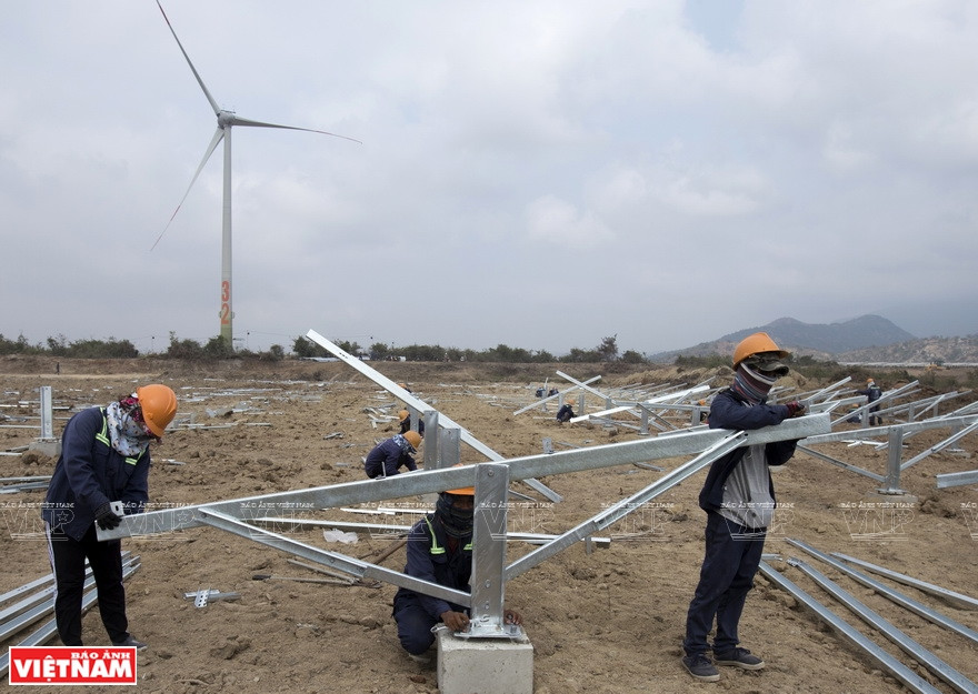 宁顺省风能和太阳能项目安装70万太阳能板，预计发电功率204兆瓦。越通社记者 通海 摄 