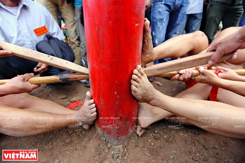 拔河用的藤条穿过柱孔，两队在柱子两边对拉。图自越通社