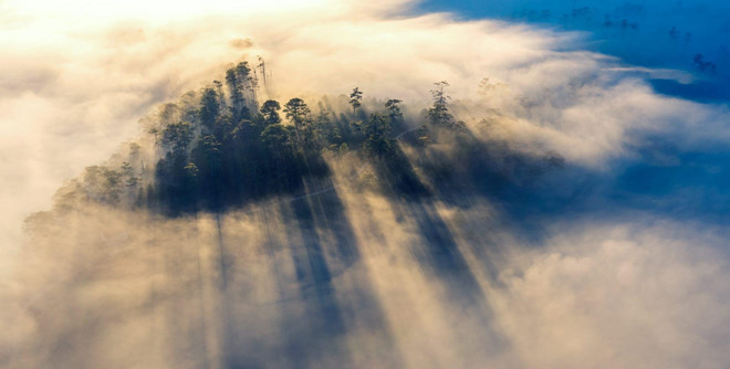 大叻市沉浸在茫茫的迷雾之中 风景美如天堂。读者 阮俊 摄