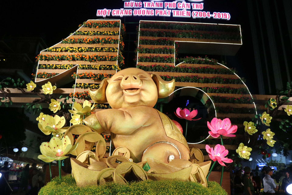 芹苴2019己亥年春节花街及艺术灯开街。图自越通社