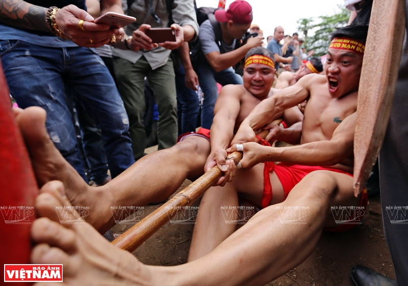 旗总喊“咿呀，拉”一声后，比赛开始。图自越通社