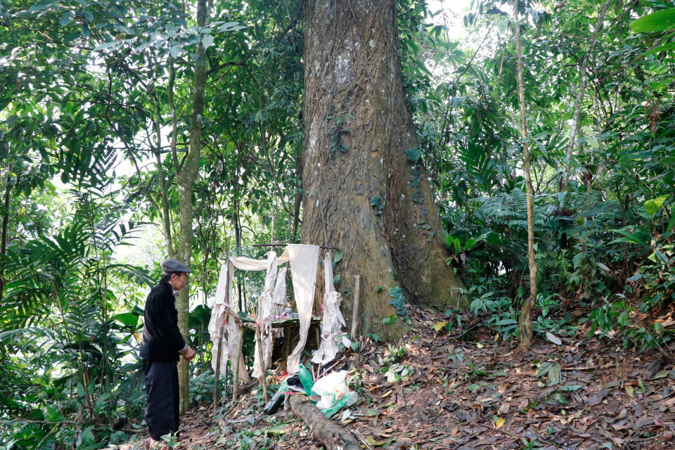 巫师进行祭神礼仪。图自越通社