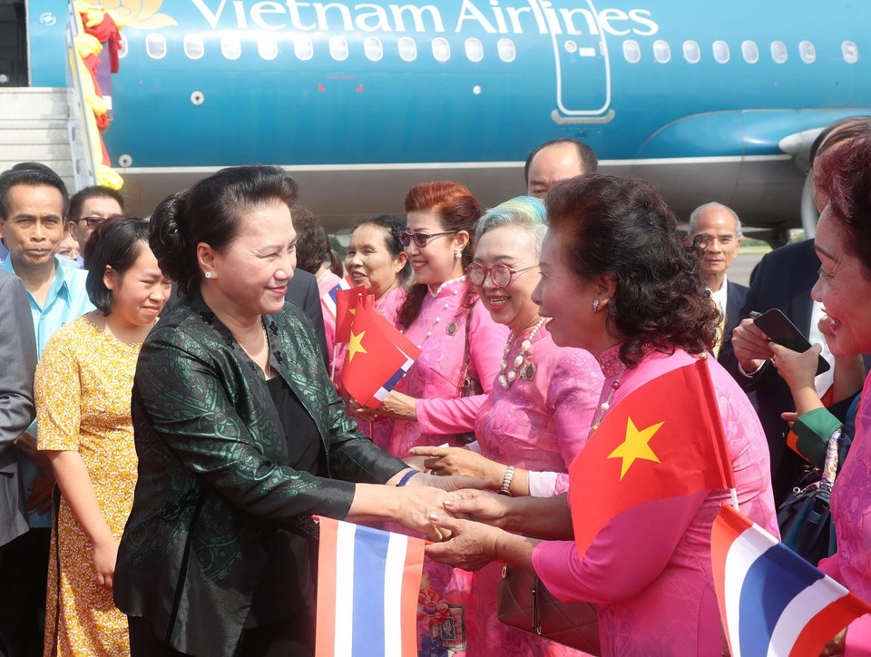 侨胞们迎接阮氏金银主席。越通社记者 仲德 摄