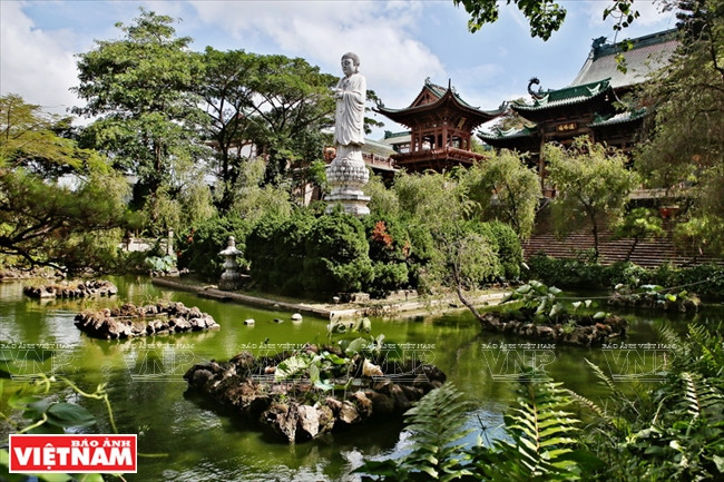 庭院建有小池，放置假山盆景，花木扶疏，营造亲近自然的绿色生态环境。图自越通社