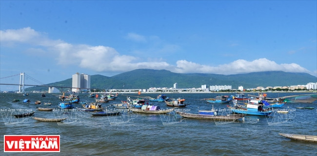 如诗如画的山茶半岛。越通社记者 清和 摄