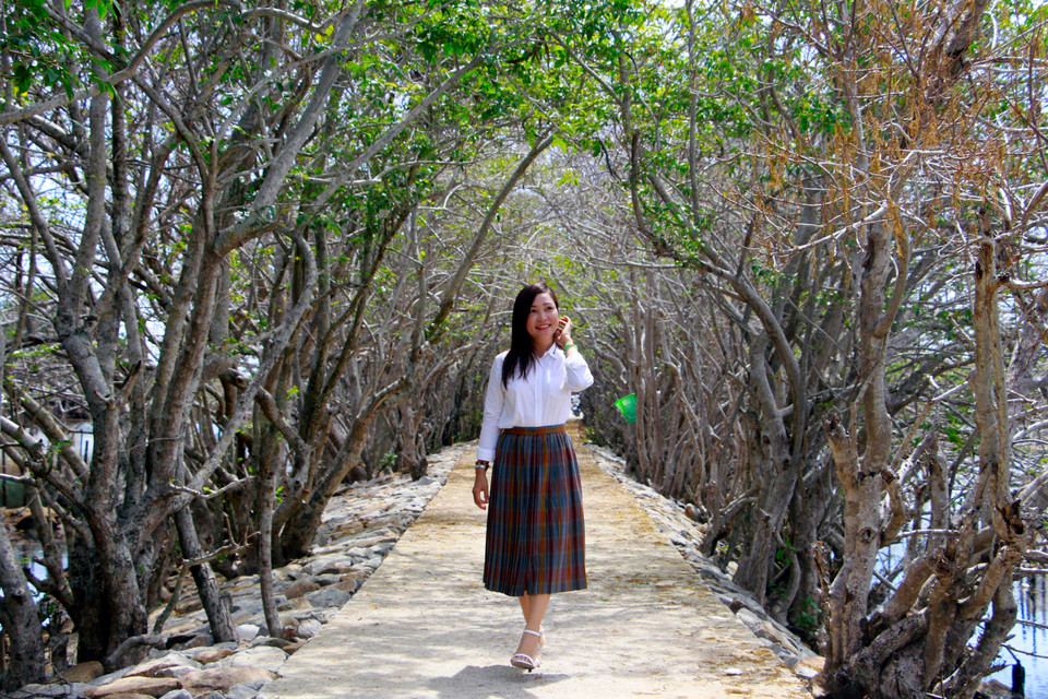 如茶原始红树林吸引游客前来参观游览。图自越通社