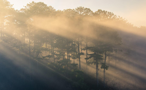 大叻市沉浸在茫茫的迷雾之中 风景美如天堂。读者 阮俊 摄