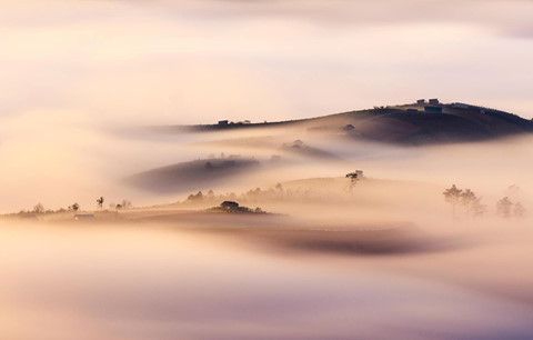 大叻市沉浸在茫茫的迷雾之中 风景美如天堂。读者 阮俊 摄
