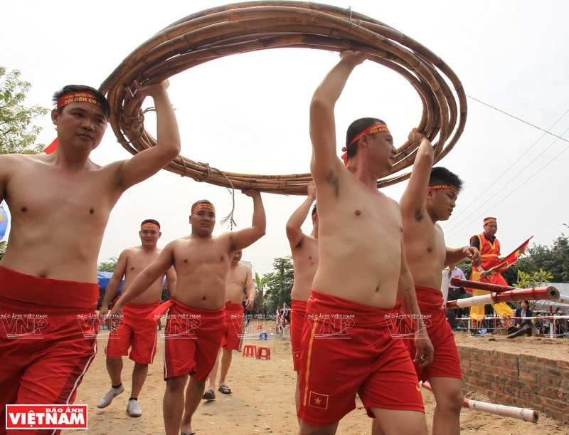 玉池村壮年将藤条带到比赛场地。图自越通社