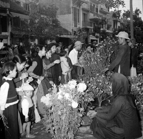 篦行街的花市。图自越通社