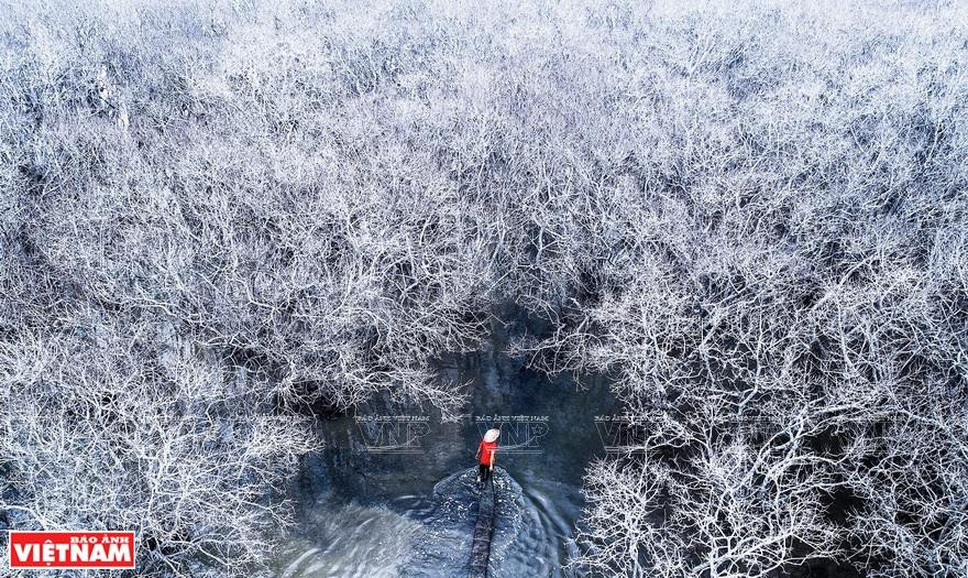 冬天美景。图自越通社