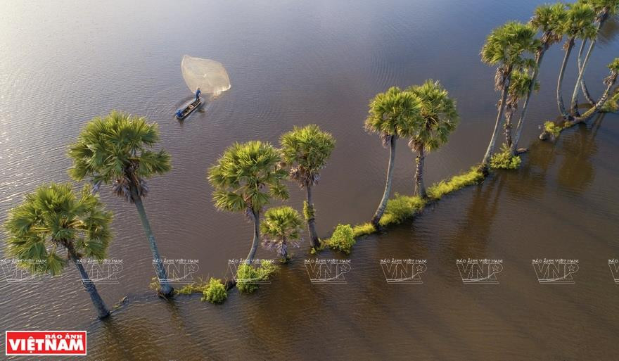 安江省静边县的汛期每年从9月持续到11月，不仅为居民带来丰富的水海产资源，还增添了一道亮丽的风景。图自越通社