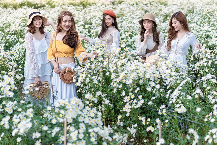 来到红河周边雏菊园的游客们仿佛都想留下这个美丽的瞬间。图自Vietnam+