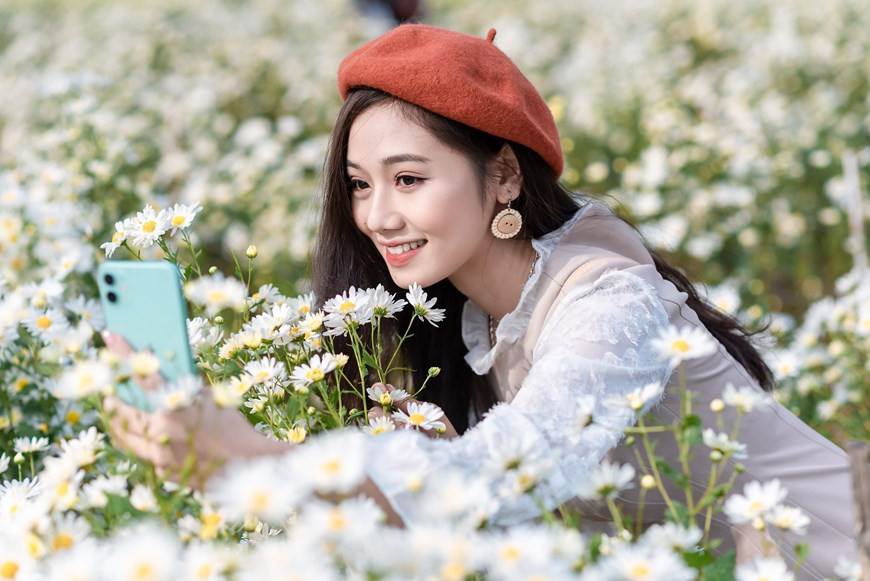 河内美女在雏菊花园里展现甜美迷人的微笑。图自Vietnam+