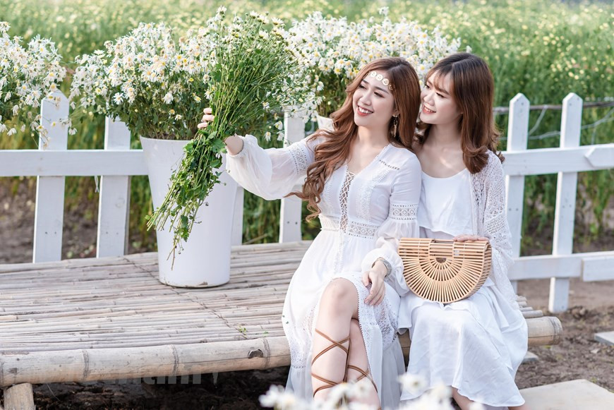 随着洁白雏菊的盛开，该花园接待的游客也越来越多。图自Vietnam+